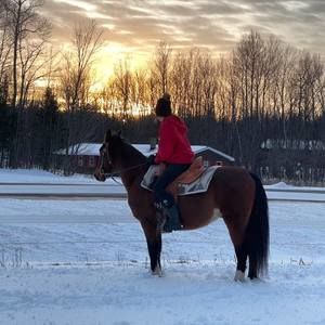 Meet your Posher, Riley